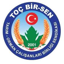 TOÇ BİRSEN